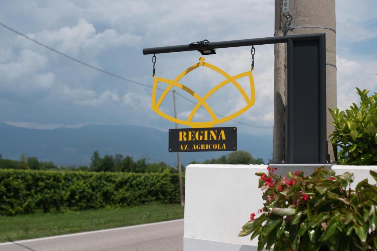 Regina Nel Cuore Del Veneto Codognè エクステリア 写真